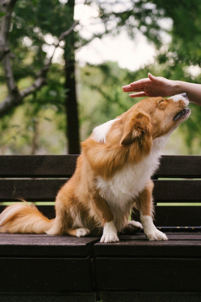 Approachable professional partnership